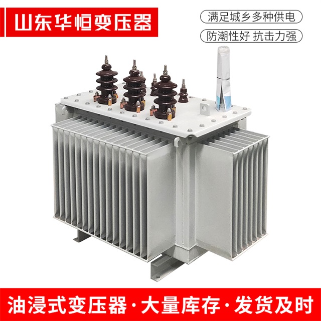 S13-10000/35金平金平金平油浸式变压器厂家